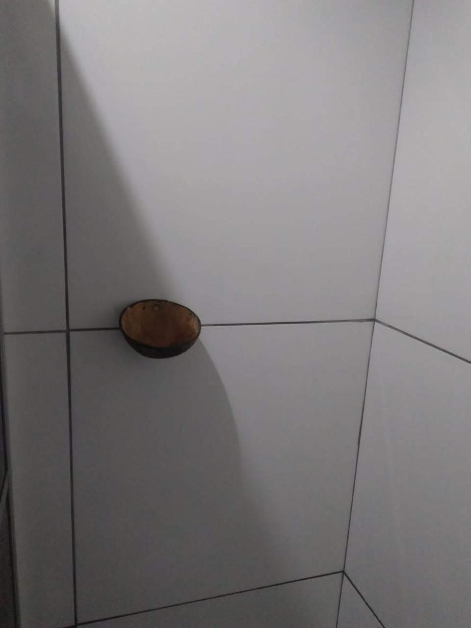 Flats E Suites Toque Dos Milagres São Miguel dos Milagres Esterno foto
